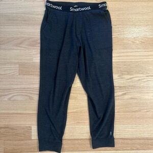 Men’s Smartwool Merino 250 Pants joggers